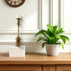 Mango Wood Brown Classic tower Candle Pillar Holder